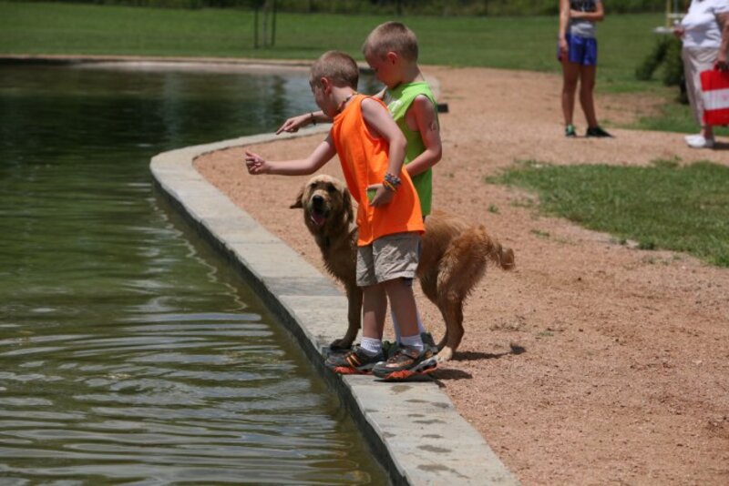 are dogs allowed in washington county parks