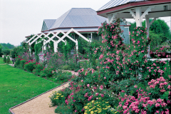 Arbor-Walkway