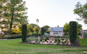 garden and windmill