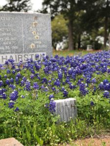 monument and bluebonnets