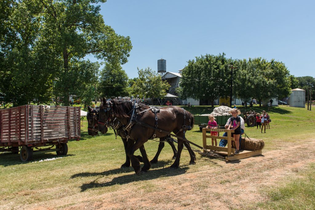 Burton Cotton Gin Festival Visit Brenham Texas