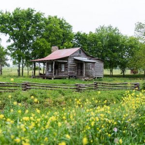 Log Cabin on a back county road