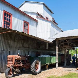 Burton Cotton Gin