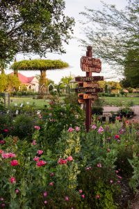 Antique Rose Emporium gardens