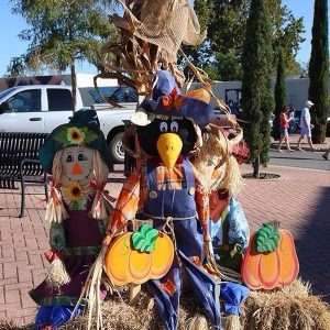 Three scarecrow. The center scarecrow has a stuffed crows head.
