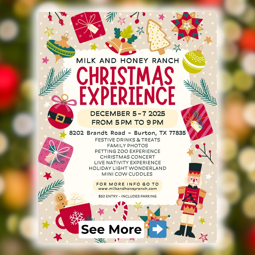 A festive event flyer for the Milk and Honey Ranch Christmas Experience, taking place December 5–7, 2025, from 5 PM to 9 PM at 8202 Brandt Road in Burton, Texas. The design features colorful holiday graphics like ornaments, gifts, candy canes, and a nutcracker. Event highlights include festive drinks and treats, family photos, a petting zoo, Christmas concert, live nativity, holiday light wonderland, and mini cow cuddles. Text at the bottom notes $50 entry including parking and directs visitors to milkandhoneyranch.com for more information.