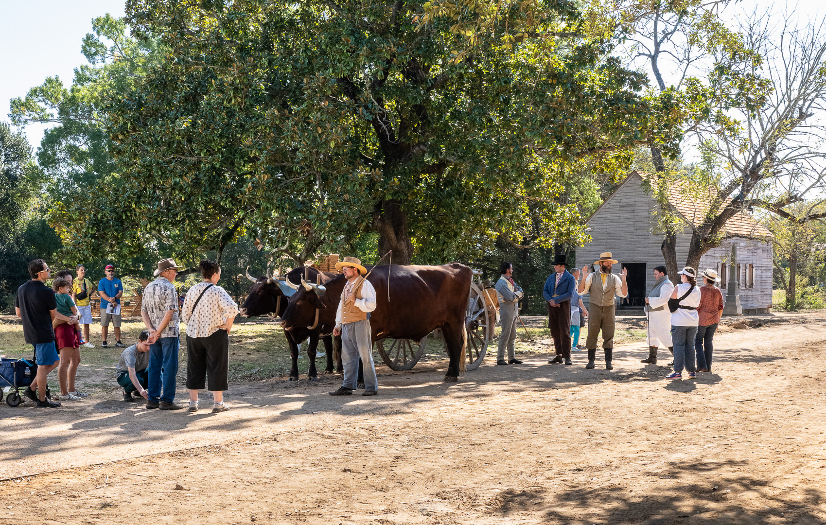 Historical reenactors with an ox-drawn wagon speak to visitors at Washington-on-the-Brazos State Historic Site.