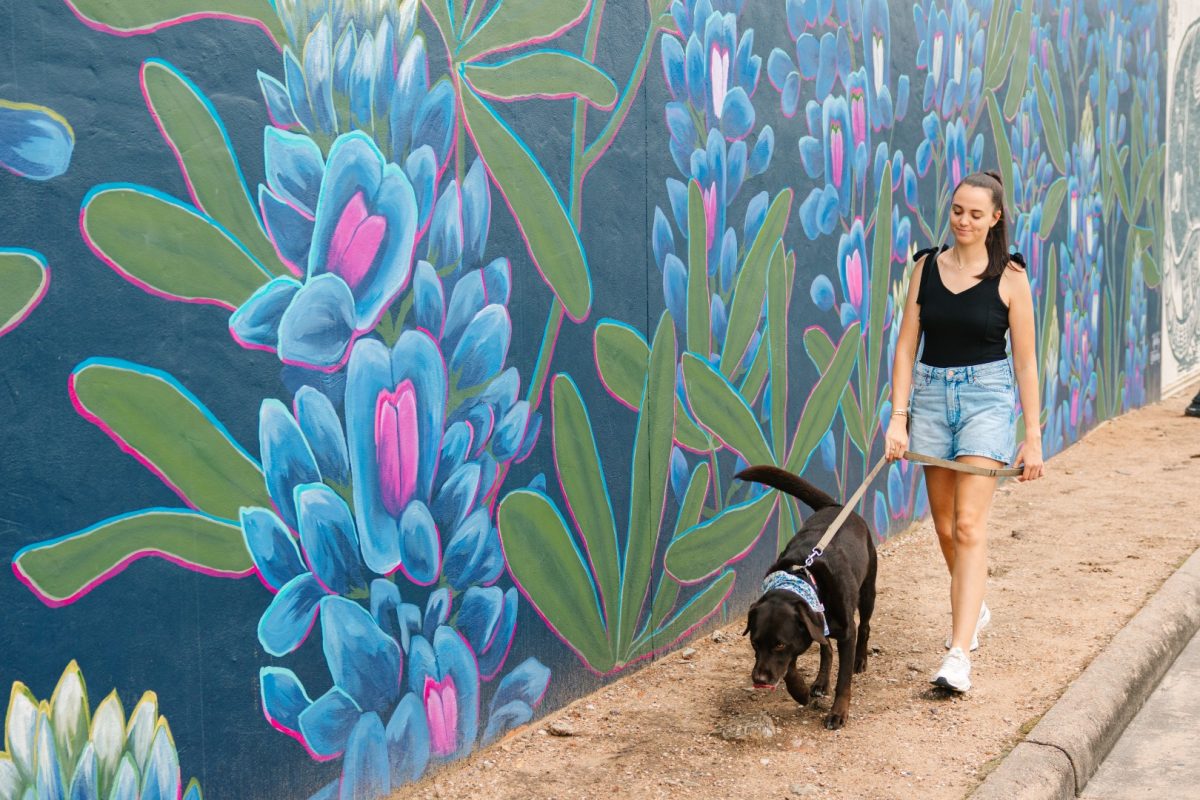 Dog-Friendly Itinerary