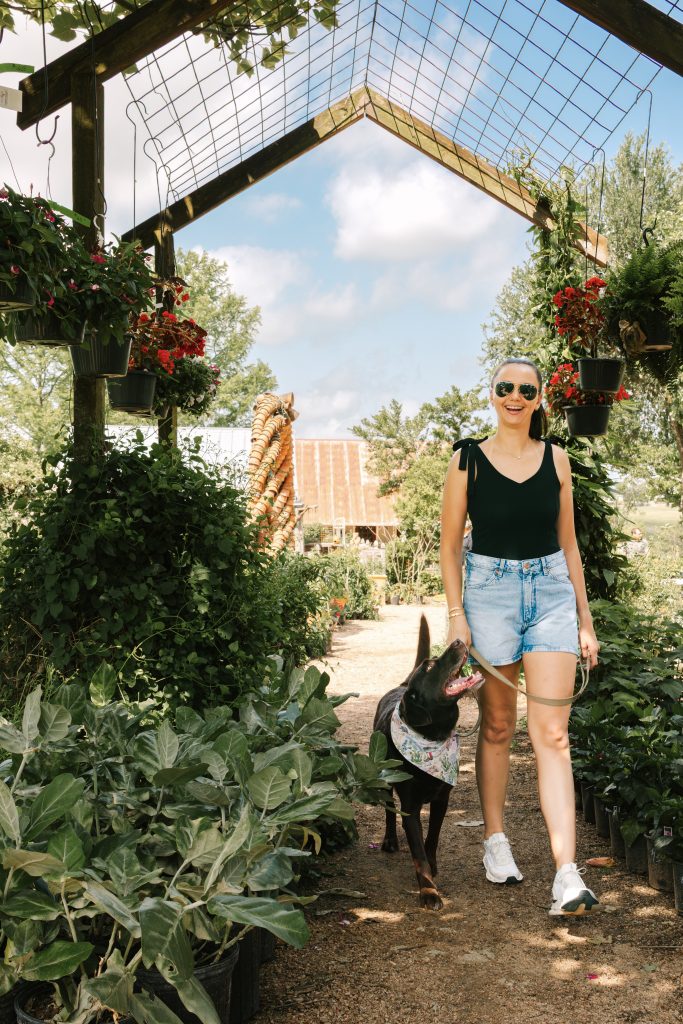 A woman wearing sunglasses, a black tank top, and denim shorts walks her happy, dark brown dog through a lush, flower-filled pathway at the Antique Rose Emporium. Hanging baskets of colorful flowers frame the archway overhead on a bright, sunny day.